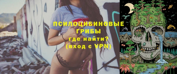 PSILOCYBIN Покровск