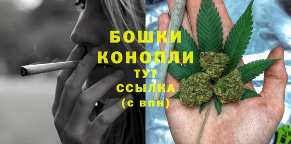 PSILOCYBIN Протвино