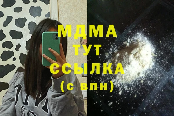 хмурый Абаза