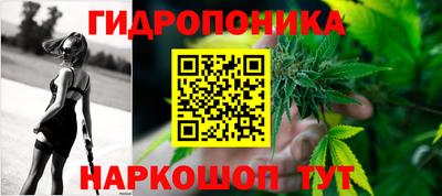 мдпв Бердск