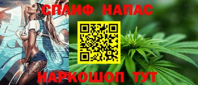 мдпв Бердск