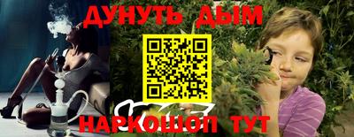 мдпв Бердск