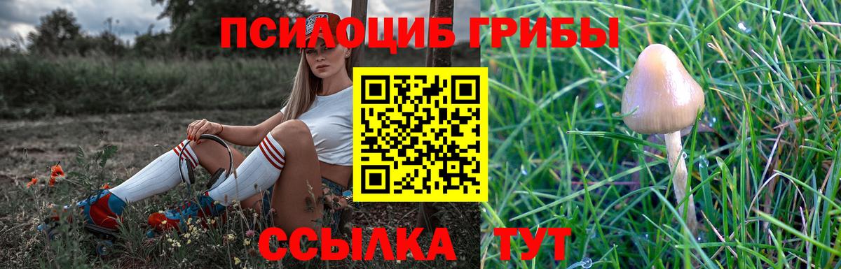 Переславль-Залесский  Галлюциногенные грибы MAGIC MUSHROOMS  Псилоцибиновые грибы GOLDEN TEACHER  Вход с VPN 